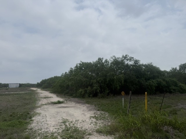 21912 County Road 798 Mathis, TX 78368 - Photo 4 of 7