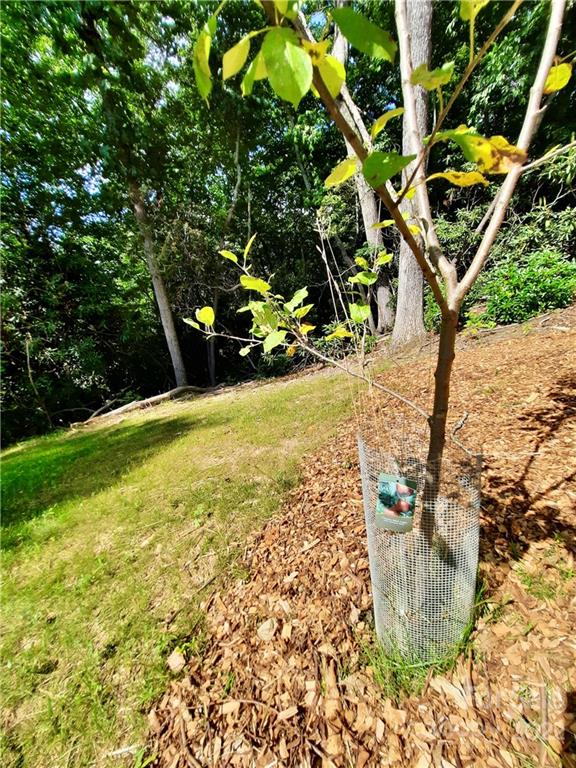 827 Hutch Mountain Road Fletcher, NC 28732 - Photo 35 of 46 Gallery Image 35