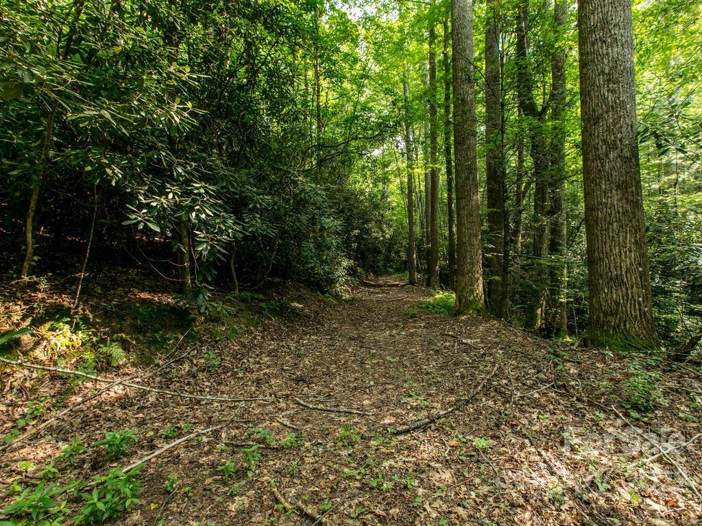 827 Hutch Mountain Road Fletcher, NC 28732 - Photo 38 of 46 Gallery Image 38