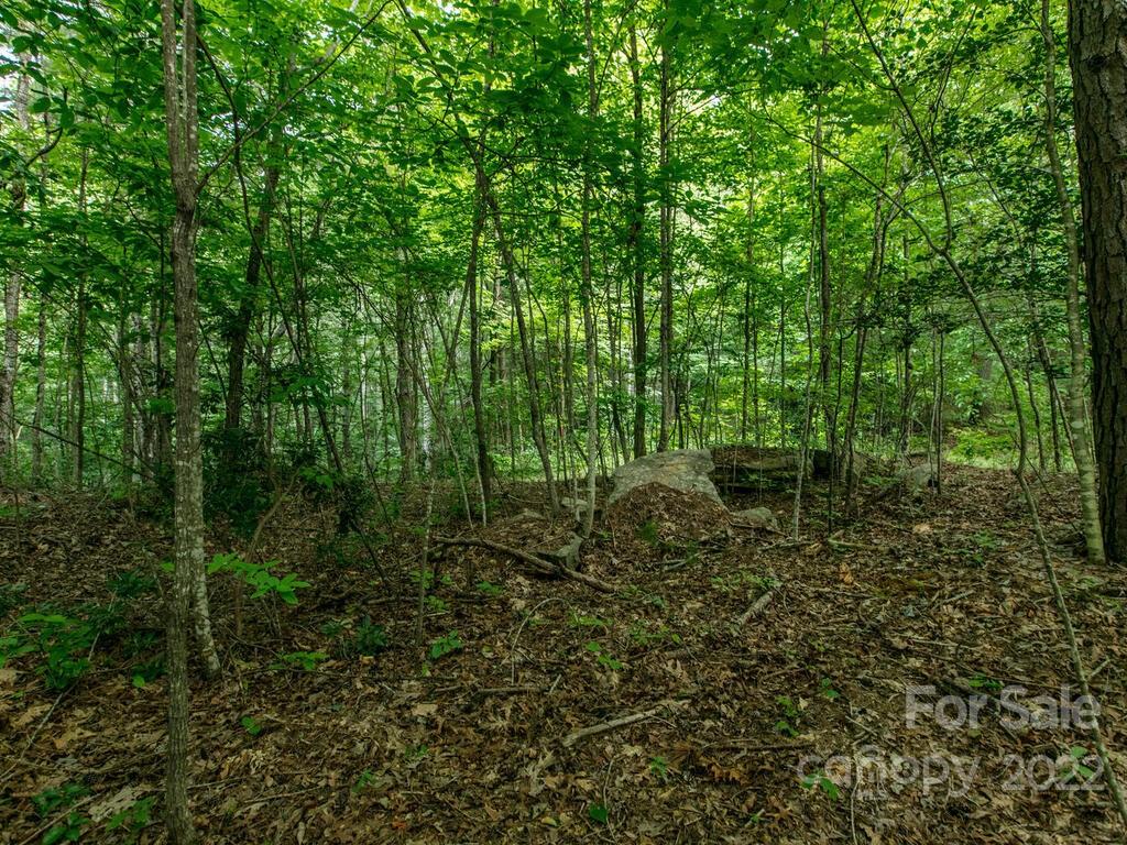 827 Hutch Mountain Road Fletcher, NC 28732 - Photo 44 of 46 Gallery Image 44
