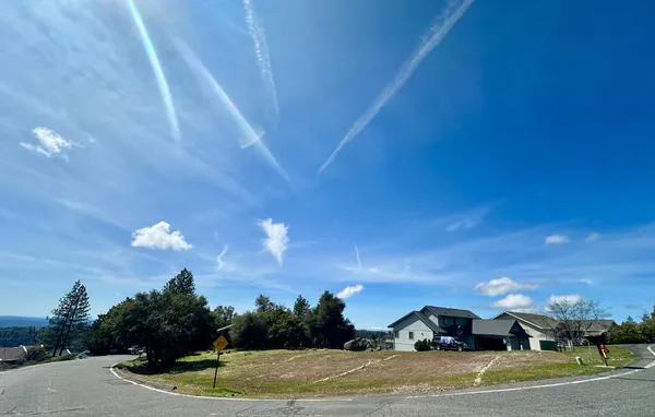 a view of a tennis ground with large trees