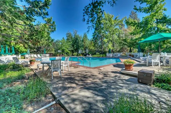a view of a backyard with table and chairs plants and large trees