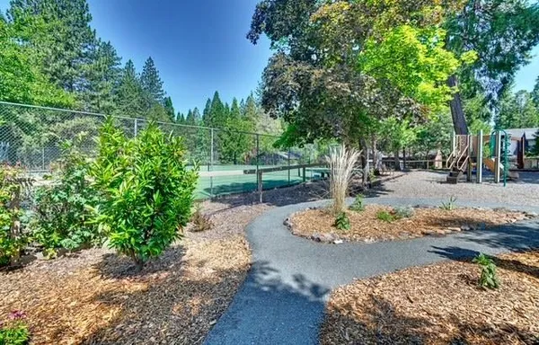 a view of a backyard with plants and trees