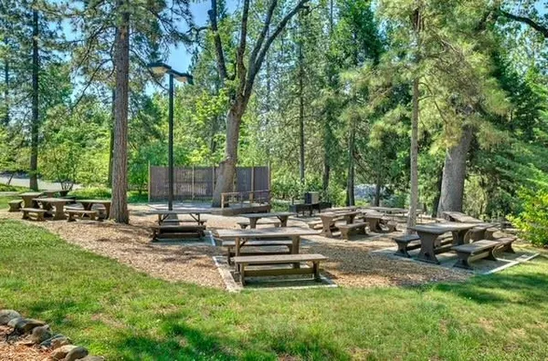 a view of a park with large trees