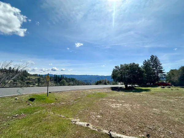 a view of a big yard with lots of green space