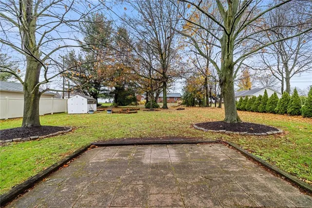 a view of yard with tree s