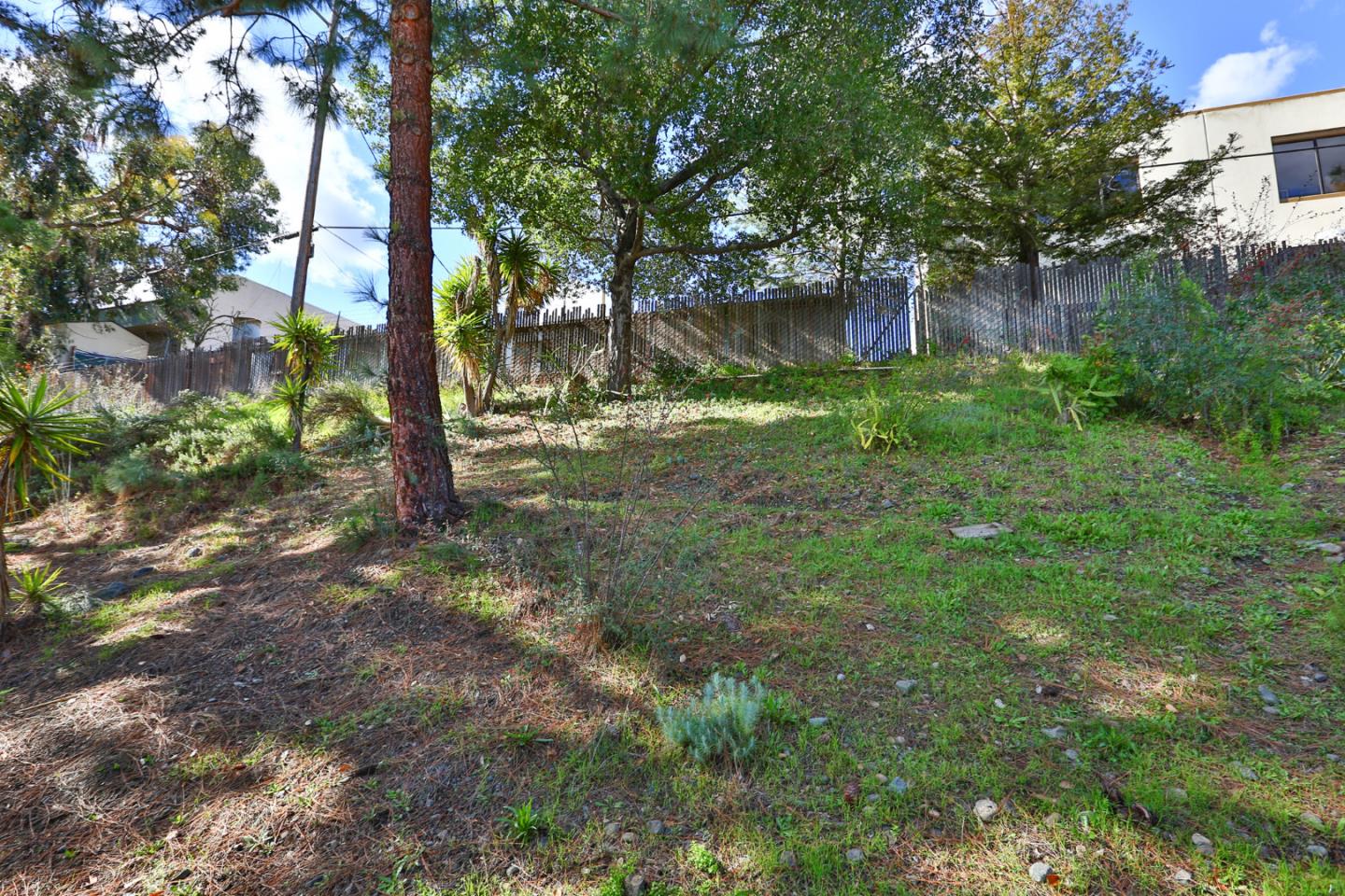 136 Timber Cove Drive, Unit 136 Campbell, CA 95008 - Photo 30 of 36 a view of a tree in a yard