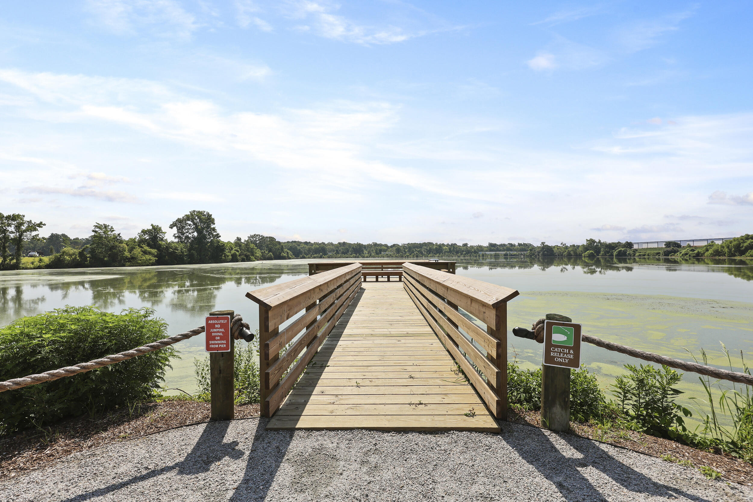 167 Yarrow Way Moncks Corner, SC 29461 - Photo 14 of 31 8_ru4a7066