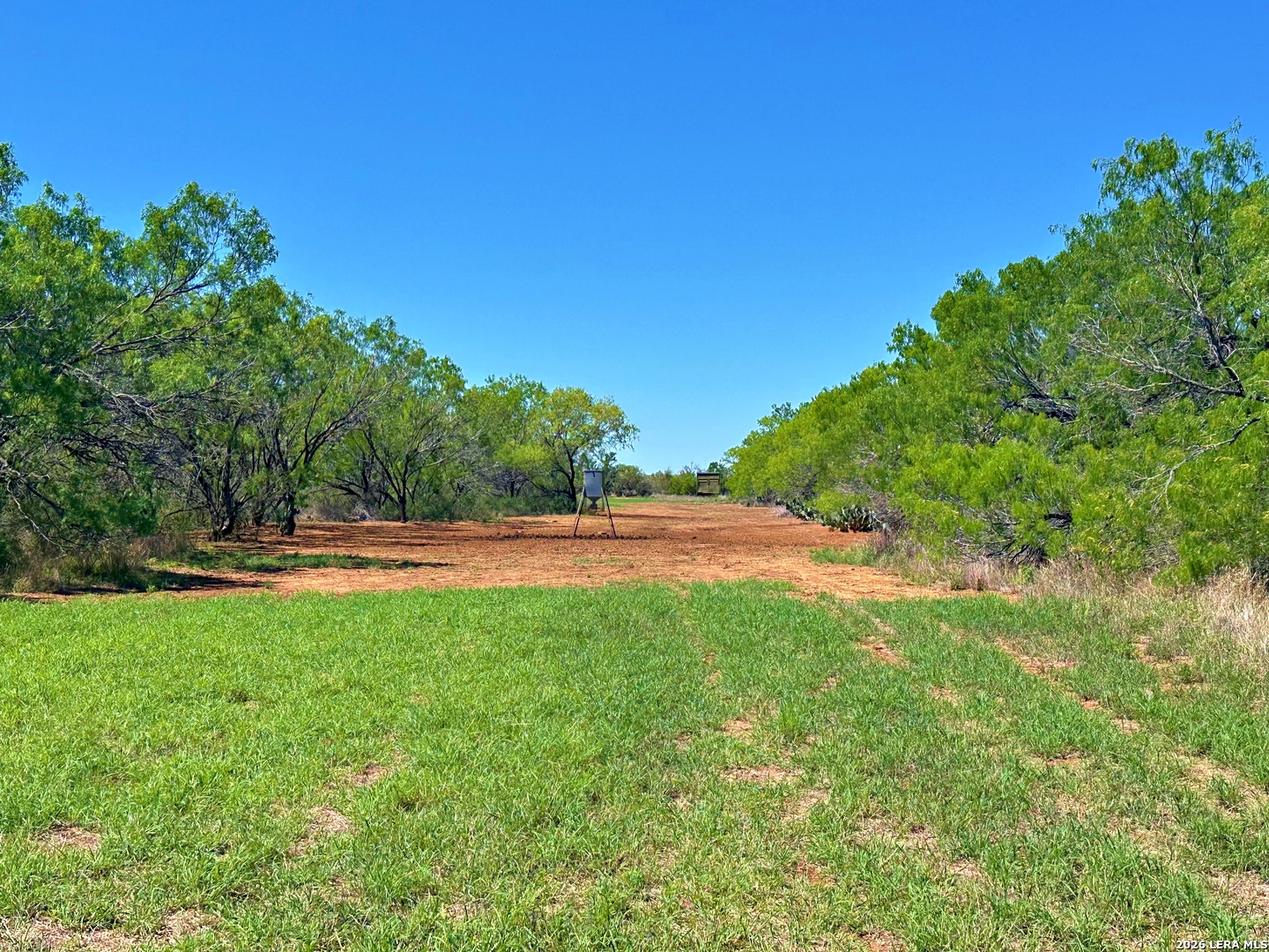 3265 Highway 97 Jourdanton, TX 78026 - Photo 17 of 23 a view of pool with a yard