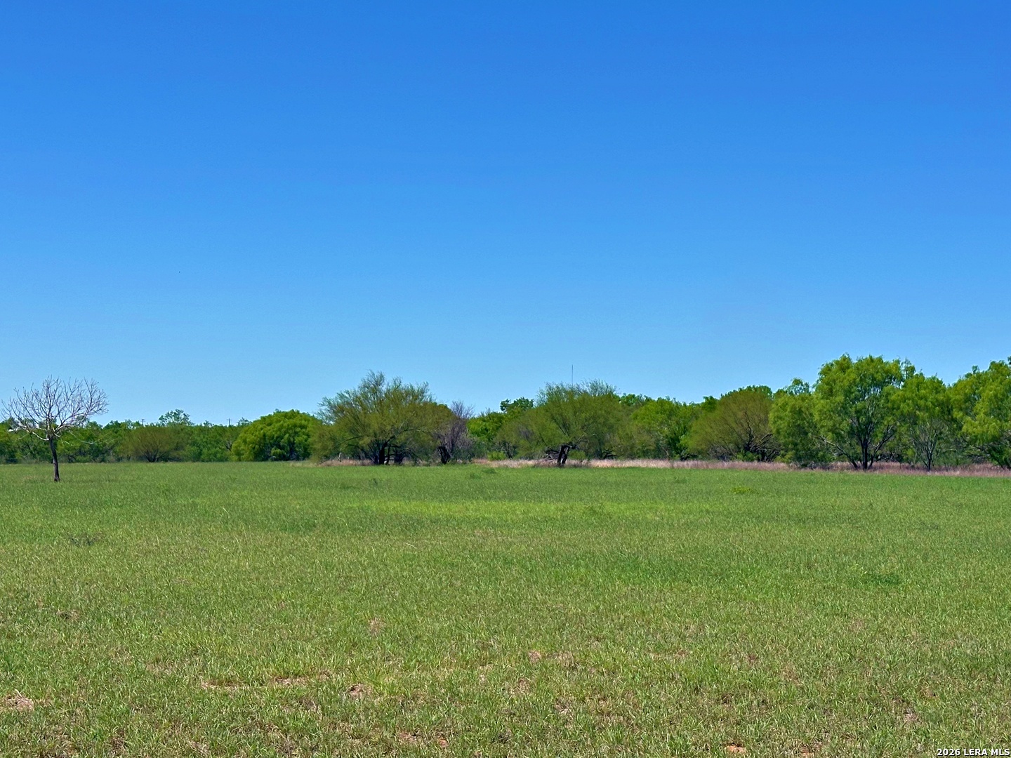 3265 Highway 97 Jourdanton, TX 78026 - Photo 19 of 23 a view of a grassy field with trees