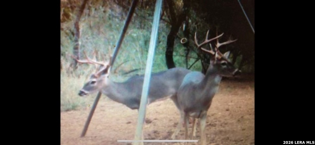 3265 Highway 97 Jourdanton, TX 78026 - Photo 22 of 23 a view of outdoor space
