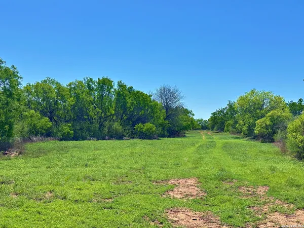 a view of a grassy field with trees in the background