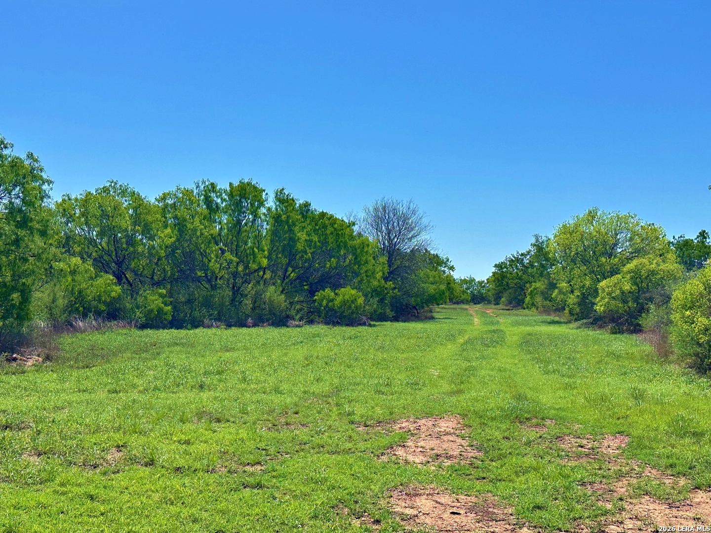 3265 Highway 97 Jourdanton, TX 78026 - Photo 5 of 23 a view of a grassy field with trees in the background
