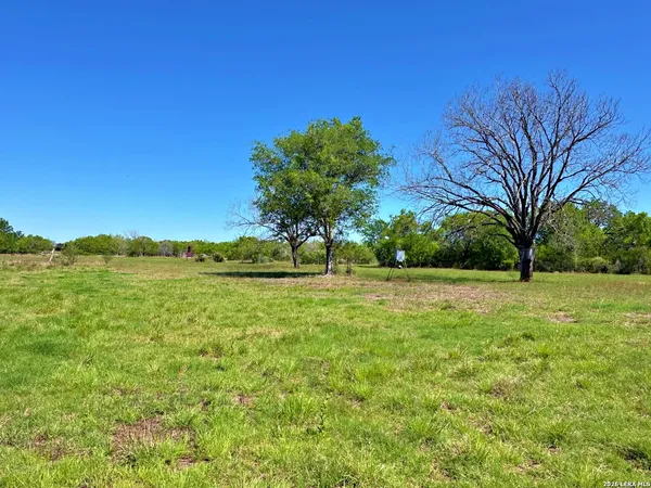 a view of yard with green space