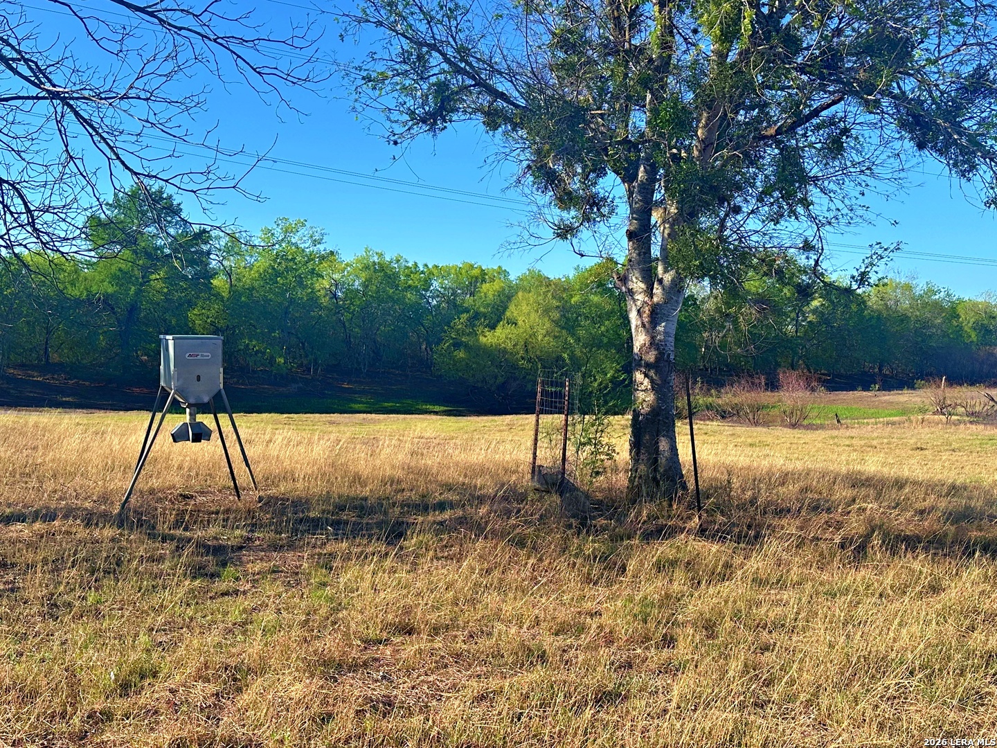 3265 Highway 97 Jourdanton, TX 78026 - Photo 7 of 23 a view of a yard