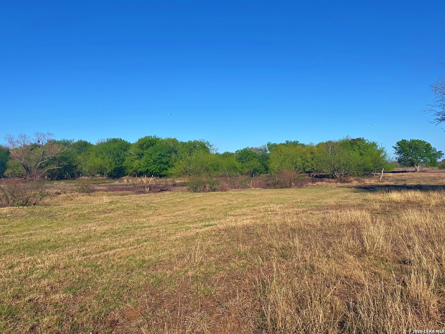 3265 Highway 97 Jourdanton, TX 78026 - Photo 8 of 23 a view of lake and mountain view