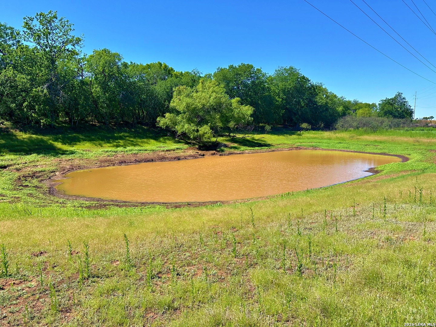 3265 Highway 97 Jourdanton, TX 78026 - Photo 9 of 23 a view of an outdoor space and swimming pool