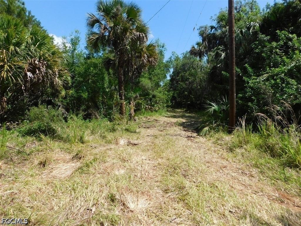 14971 Duke Highway Alva, FL 33920 - Photo 4 of 9 a view of outdoor space and trees