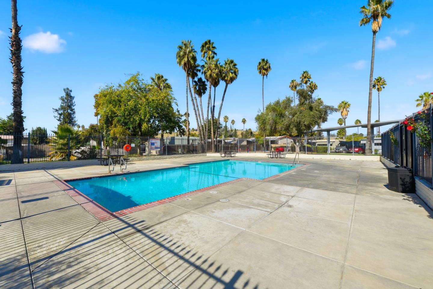 3637 Snell Avenue, Unit 248 San Jose, CA 95136 - Photo 31 of 33 a view of a swimming pool with a bench and some trees