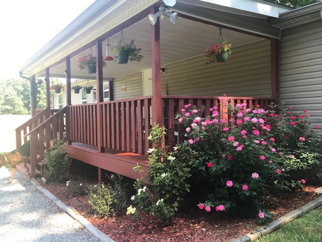 883 Rigsby Gap Road Pikeville, TN 37367 - Photo 18 of 26 Gallery Image 18