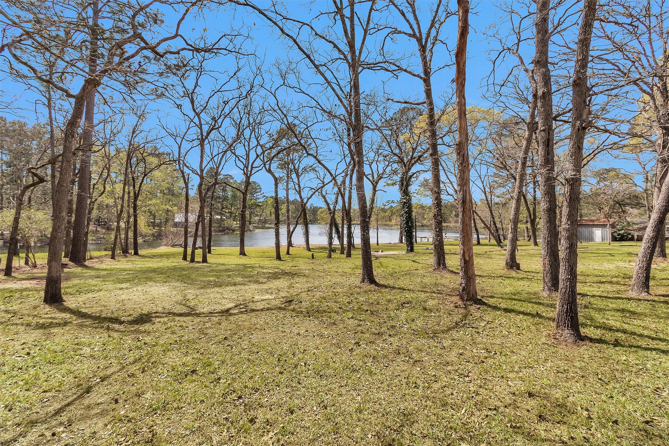 95 Main Street Huntsville, TX 77340 - Photo 24 of 30 a view of yard with trees