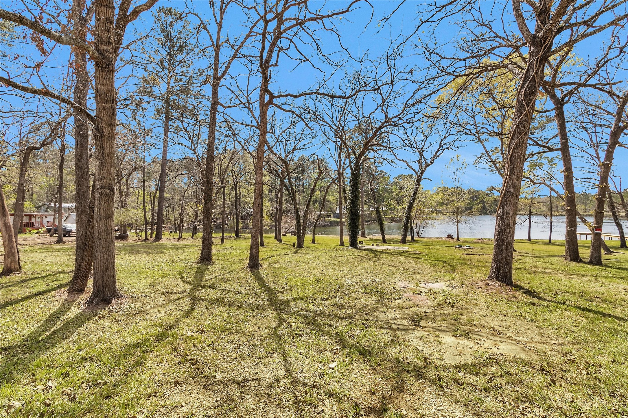 95 Main Street Huntsville, TX 77340 - Photo 25 of 30 a view of yard with trees