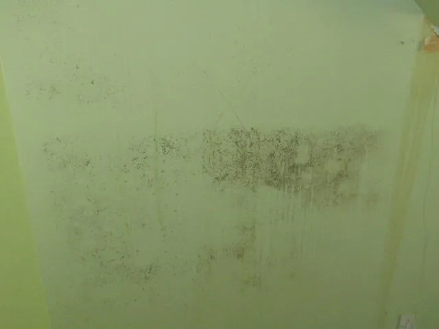 $99,900 | 55 Londonderry Lane, Belfast, ME 04915