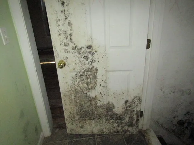 $99,900 | 55 Londonderry Lane, Belfast, ME 04915