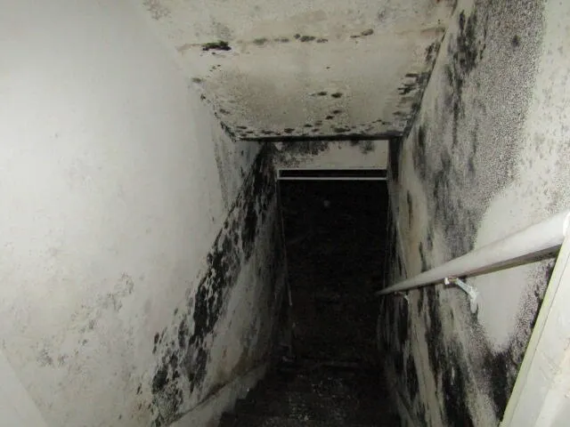 $99,900 | 55 Londonderry Lane, Belfast, ME 04915