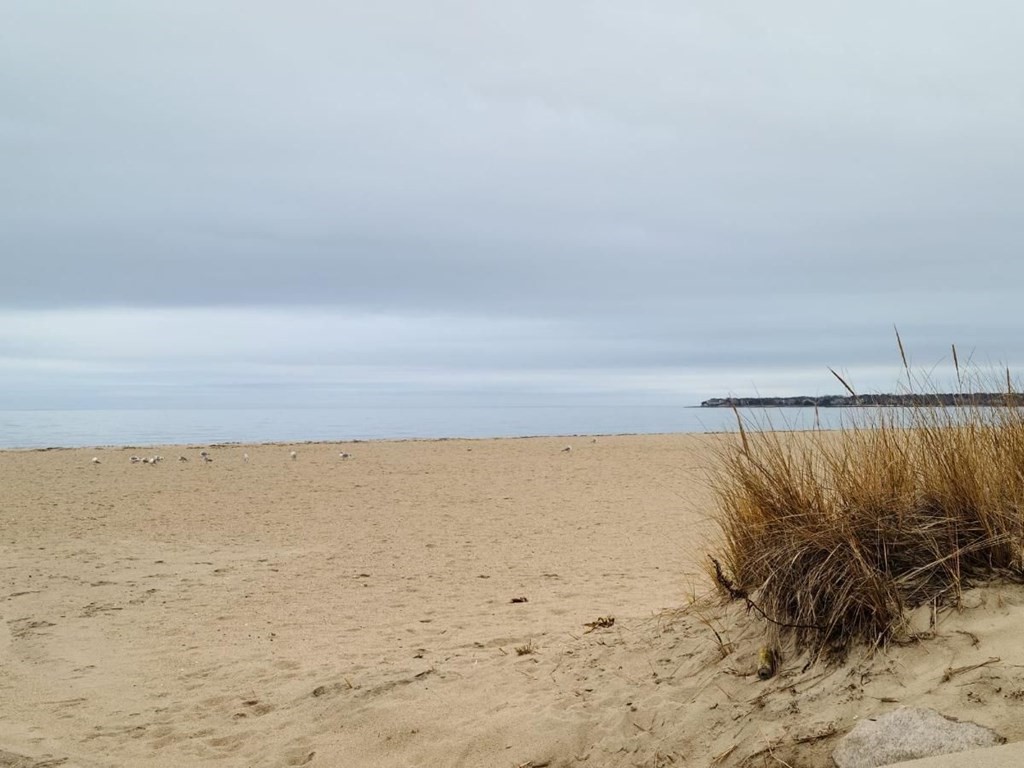 290 Riverview Lane Barnstable, MA 02632 - Photo 26 of 31 a view of beach and ocean