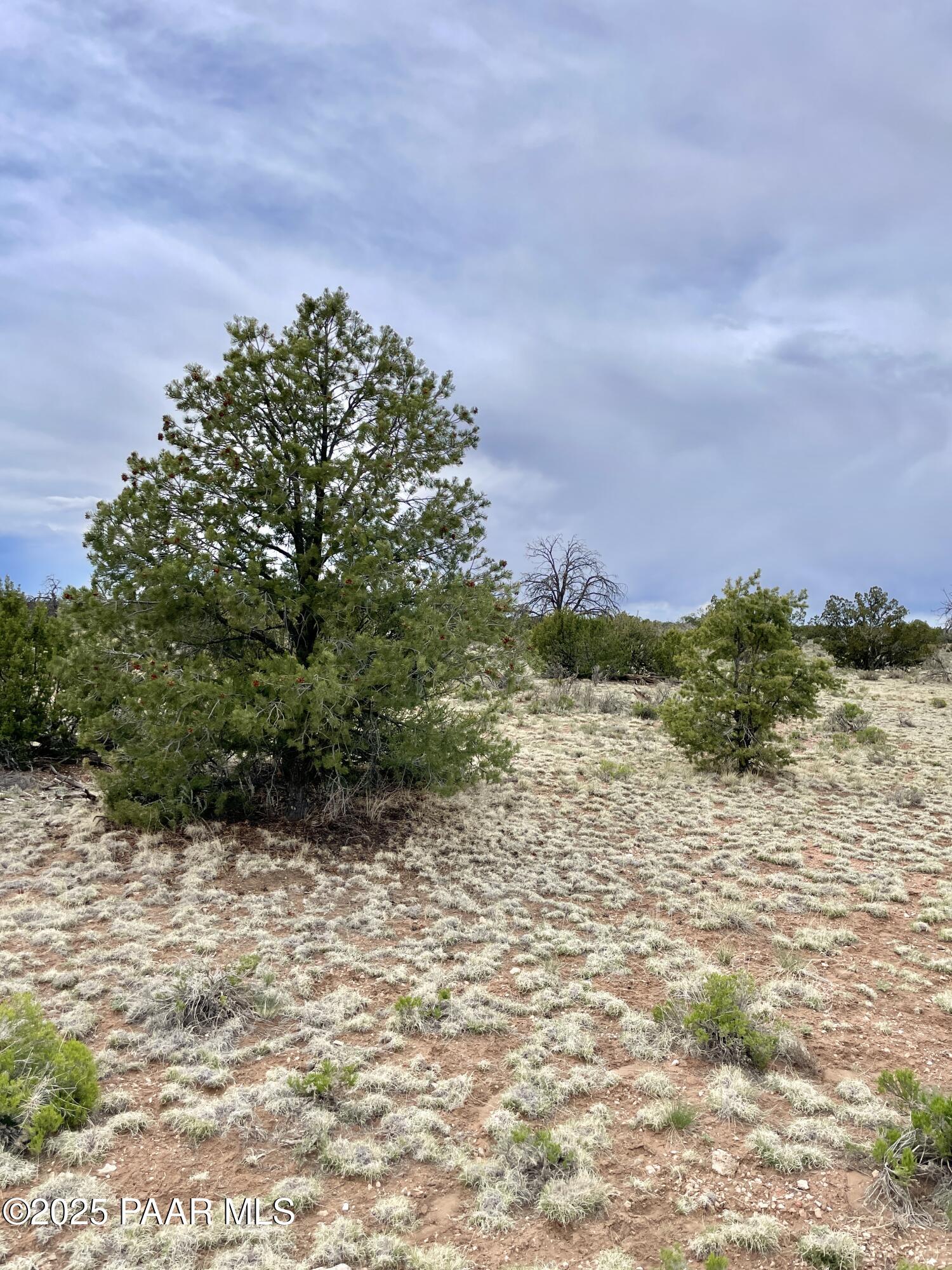 3998 Red Butte Road Williams, AZ 86046 - Photo 15 of 20 a view of a lake view