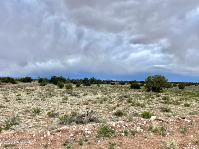 a view of a dry yard