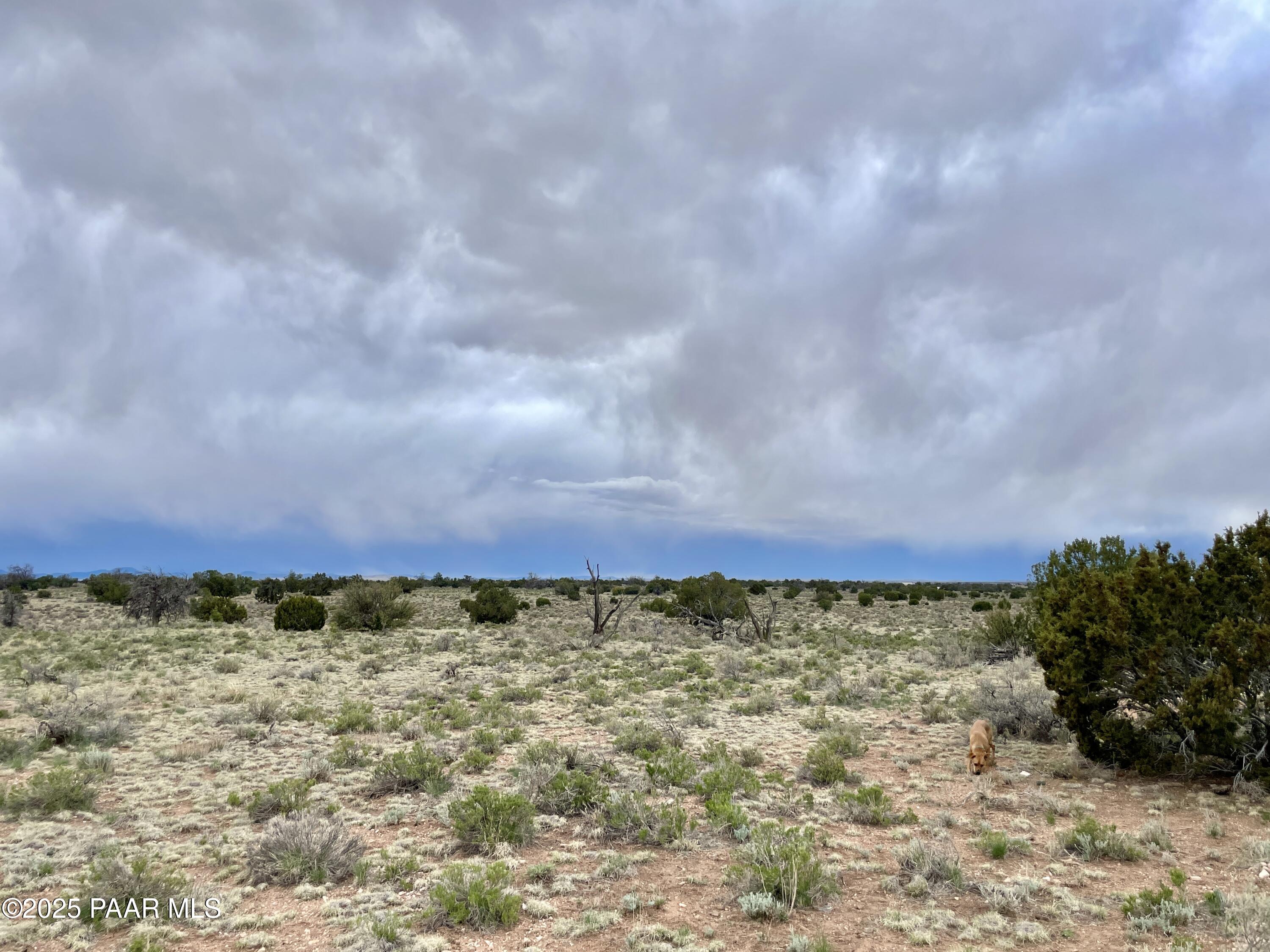 3998 Red Butte Road Williams, AZ 86046 - Photo 17 of 20 a view of a building