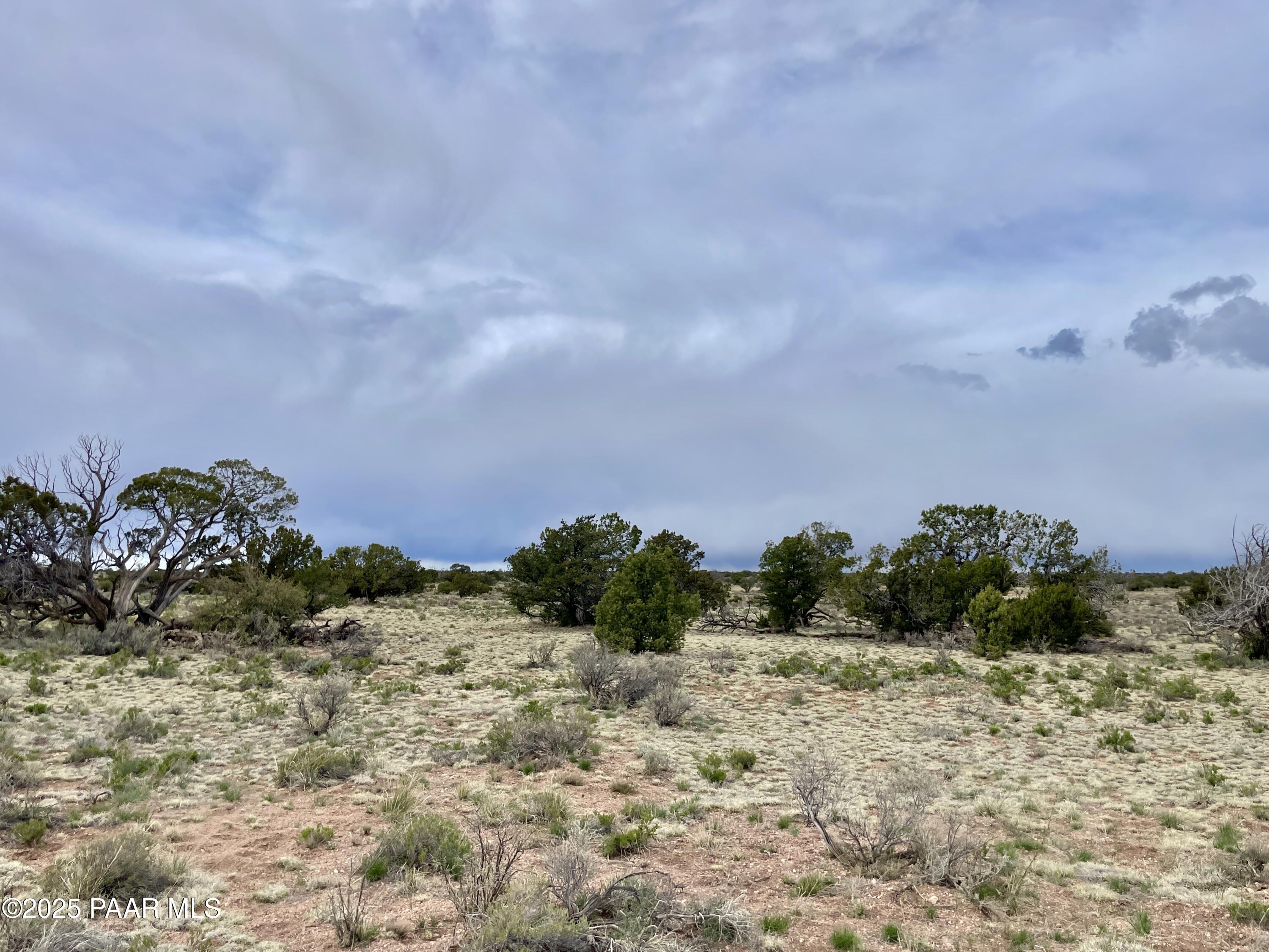 3998 Red Butte Road Williams, AZ 86046 - Photo 2 of 20 a view of a field