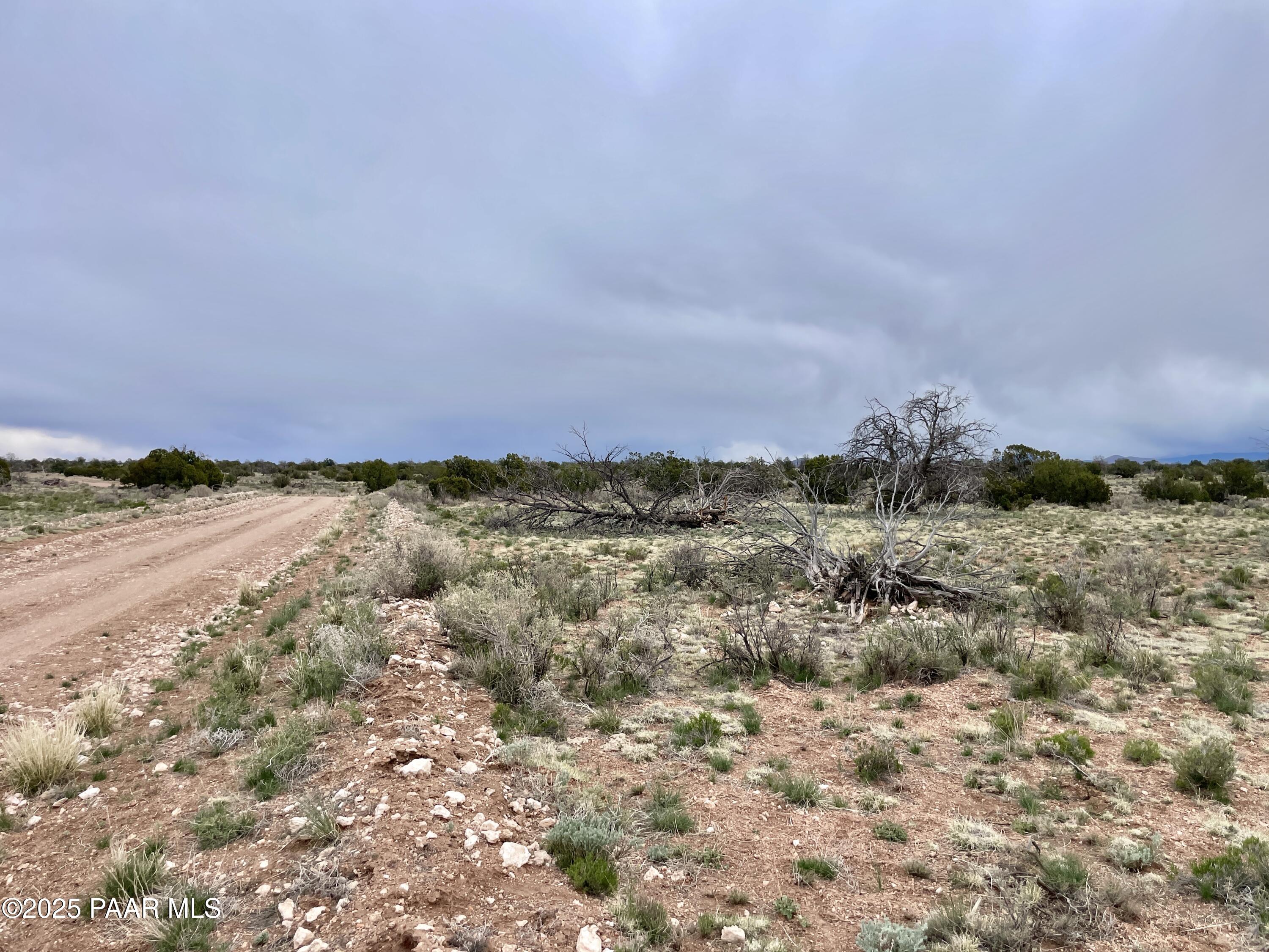 3998 Red Butte Road Williams, AZ 86046 - Photo 6 of 20 a view of lake and mountain