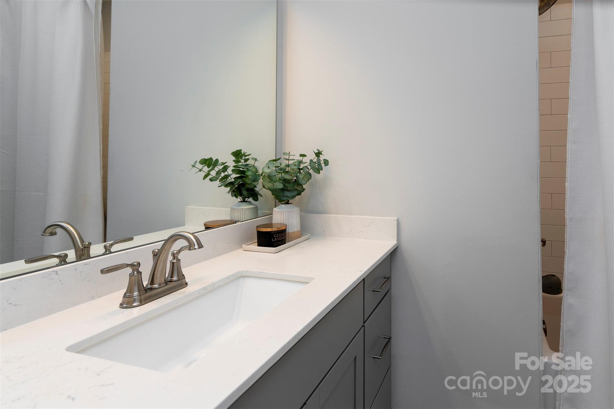 2523 Lola Avenue Charlotte, NC 28205 - Photo 27 of 40 a bathroom with a sink and a mirror