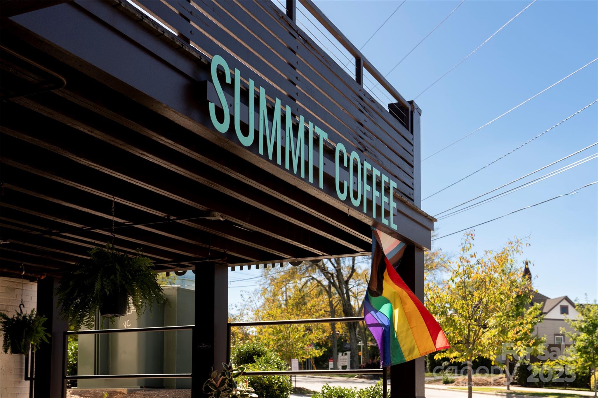 2523 Lola Avenue Charlotte, NC 28205 - Photo 36 of 40 a view of entryway