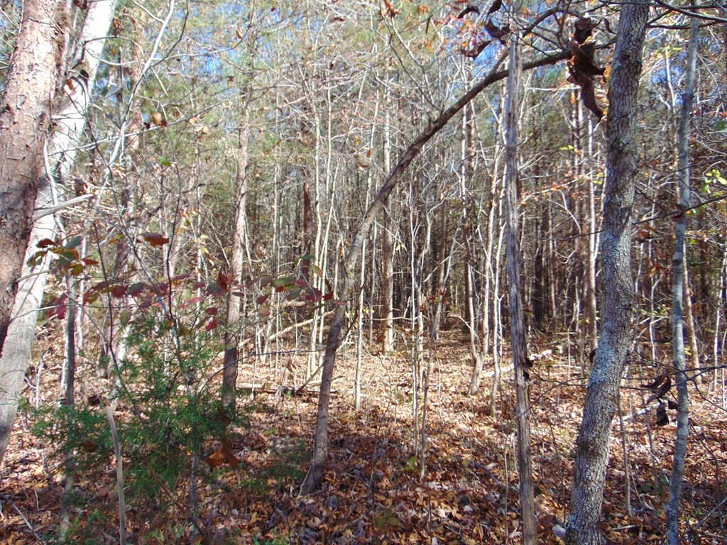 463 Co Road Englewood, TN 37329 - Photo 16 of 28