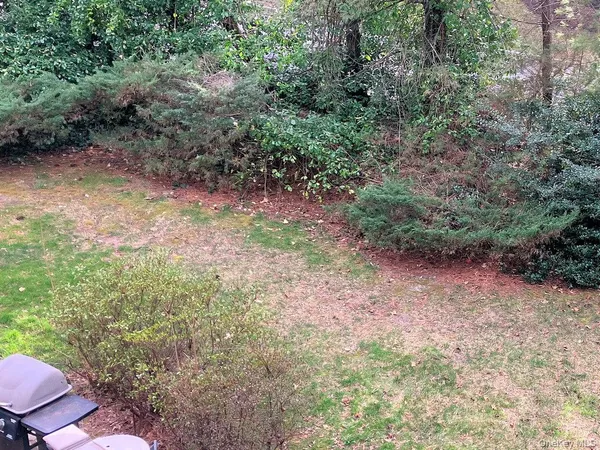 a view of a yard with plants and trees