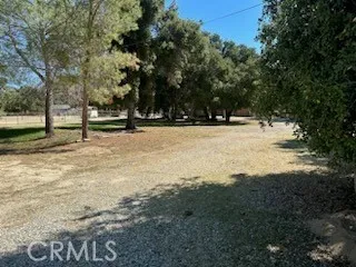 a view of yard covered with trees