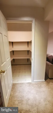 a view of walk in closet with empty racks