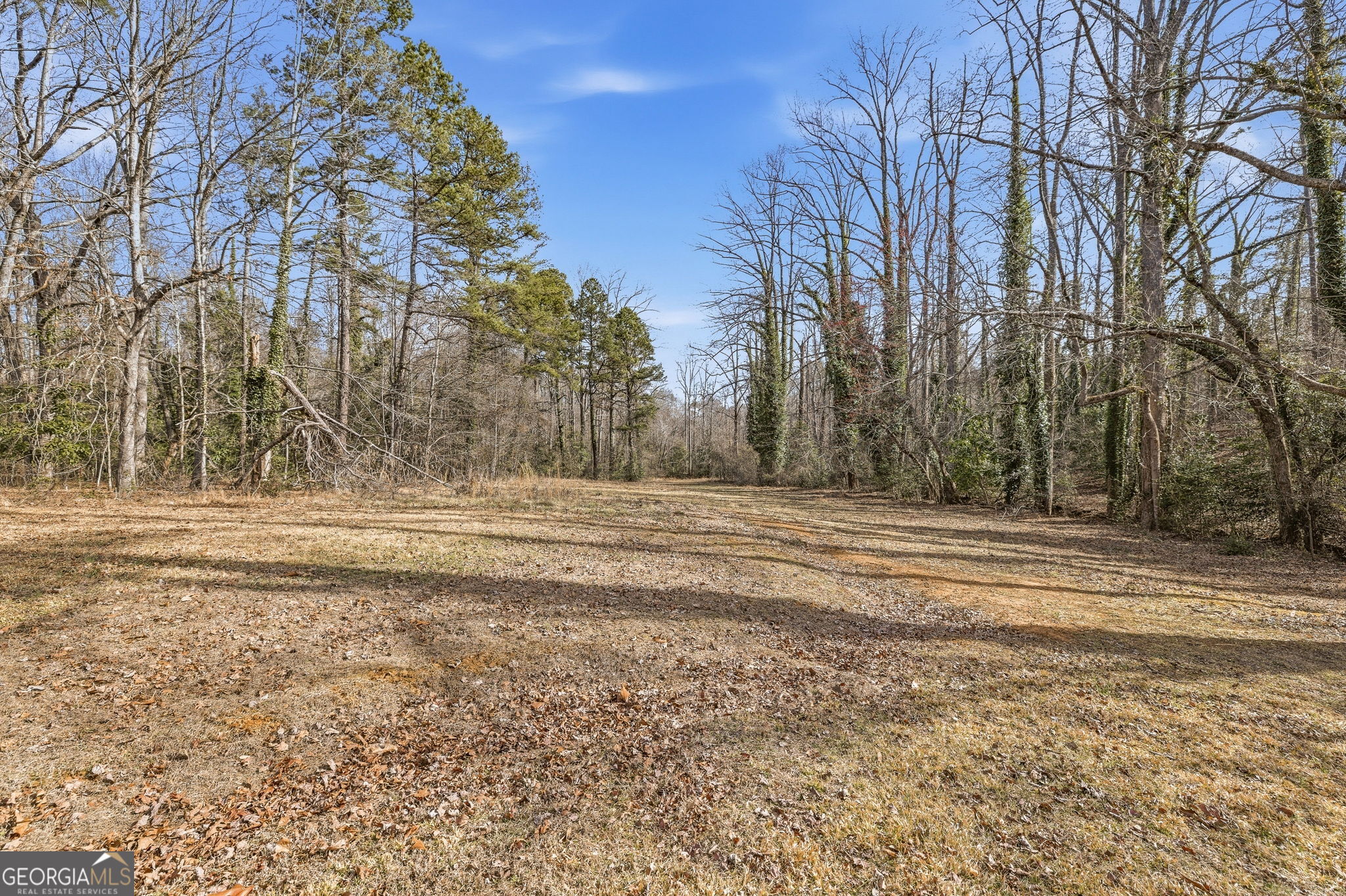 1046 Chase Road Cornelia, GA 30531 - Photo 46 of 61