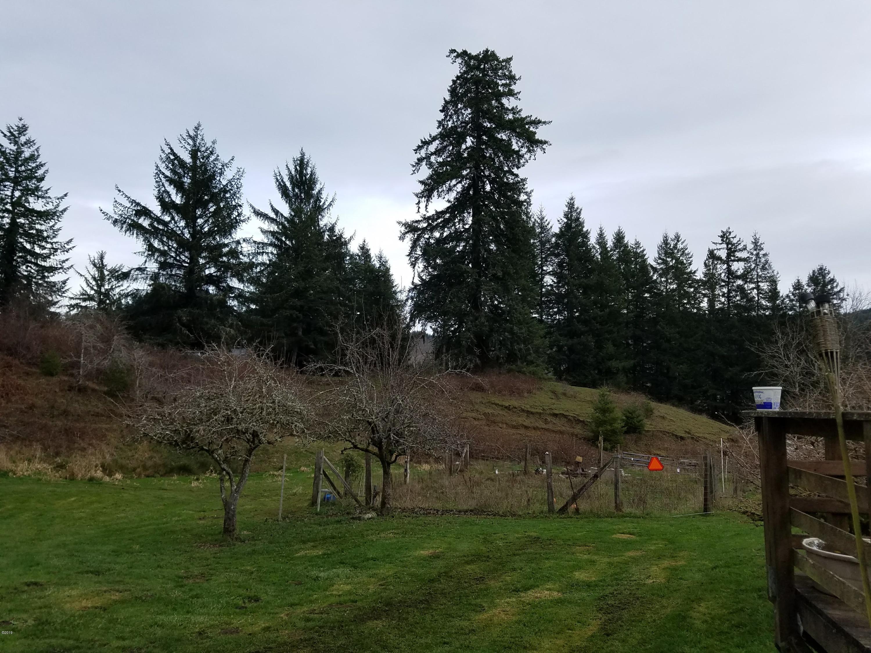 800 Northeast Ridge Drive Toledo, OR 97391 - Photo 9 of 19 Back Yard