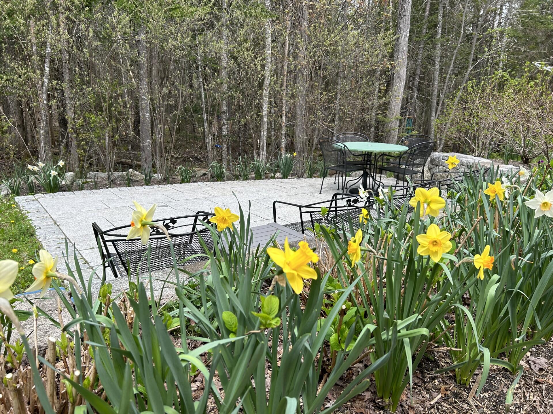 97 Crabtree Circle Hancock, ME 04640 - Photo 11 of 59 Granite patio full bloom