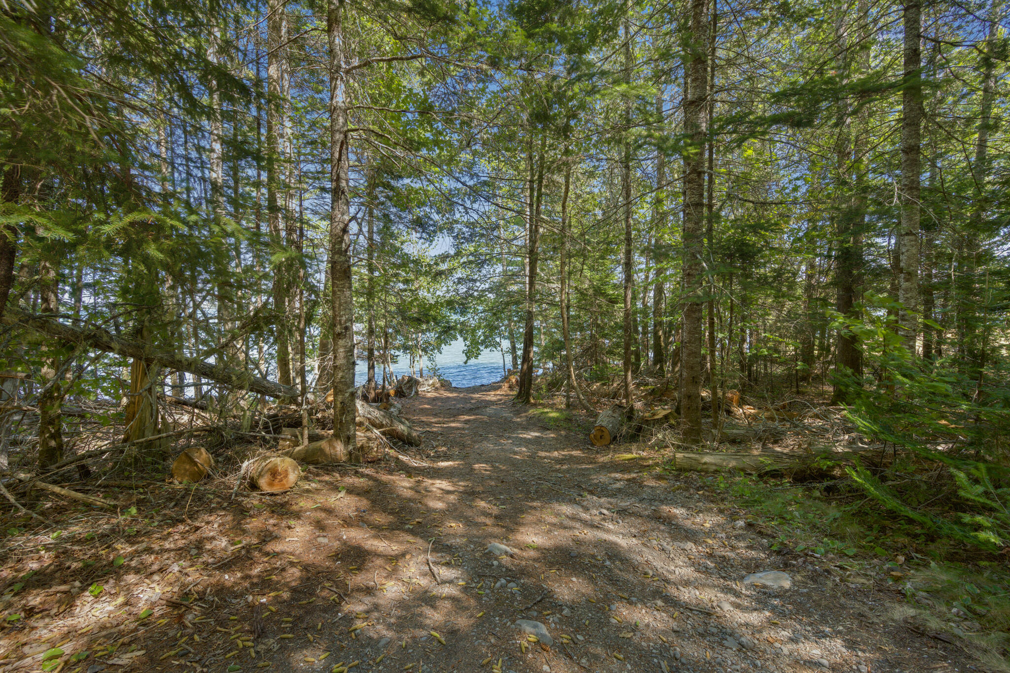 97 Crabtree Circle Hancock, ME 04640 - Photo 19 of 59 Common lot owned by Town