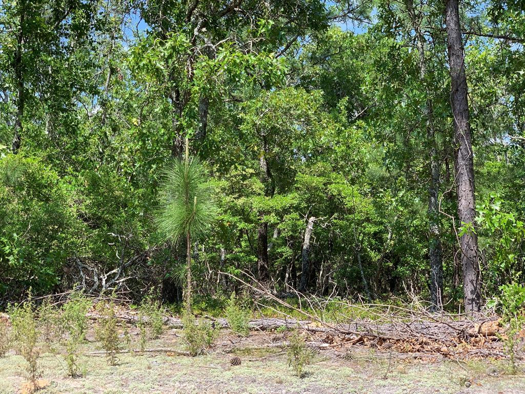1 Whaley Pond Road Graniteville, SC 29829 - Photo 1 of 4 Gallery Image 1