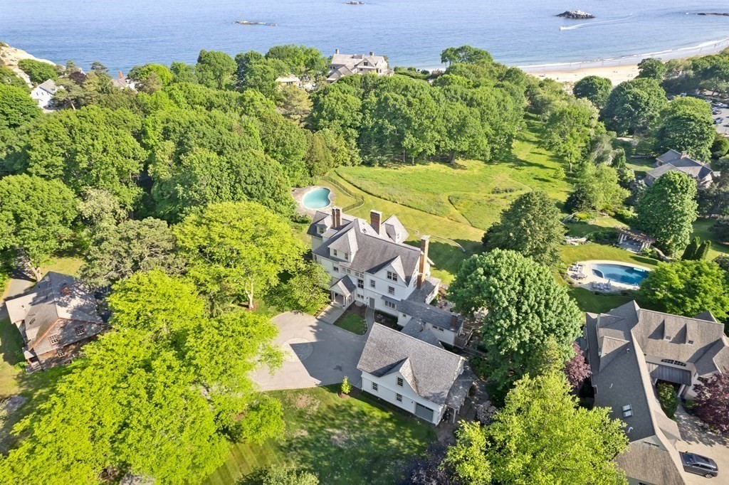 a view of a garden with plants