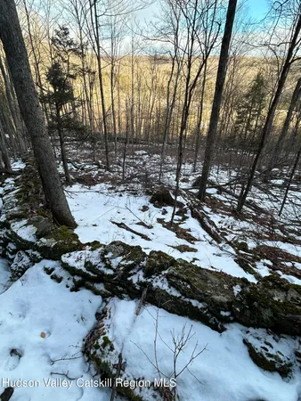 a view of a backyard of the house