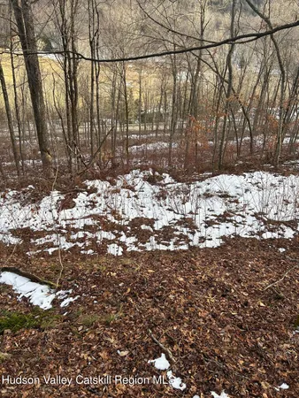 a view of a backyard of the house
