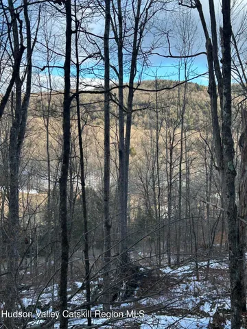 a view of fire pit with large trees